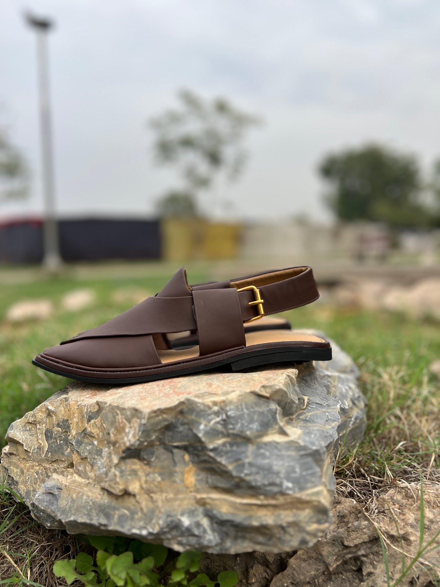 Traditional Coffee Brown Peshawari Chappal